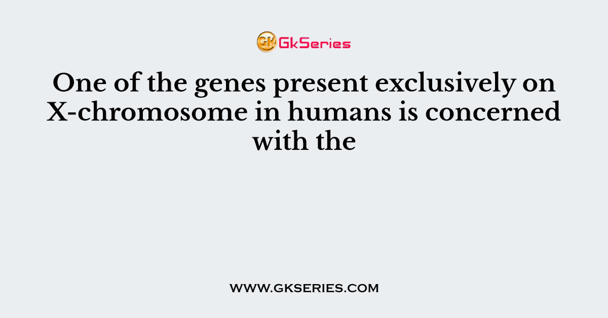 One of the genes present exclusively on X-chromosome in humans is concerned with the