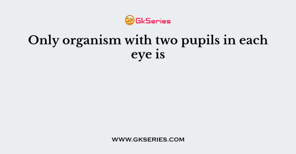 Only organism with two pupils in each eye is