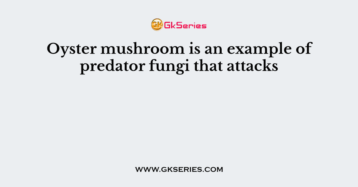 Oyster mushroom is an example of predator fungi that attacks
