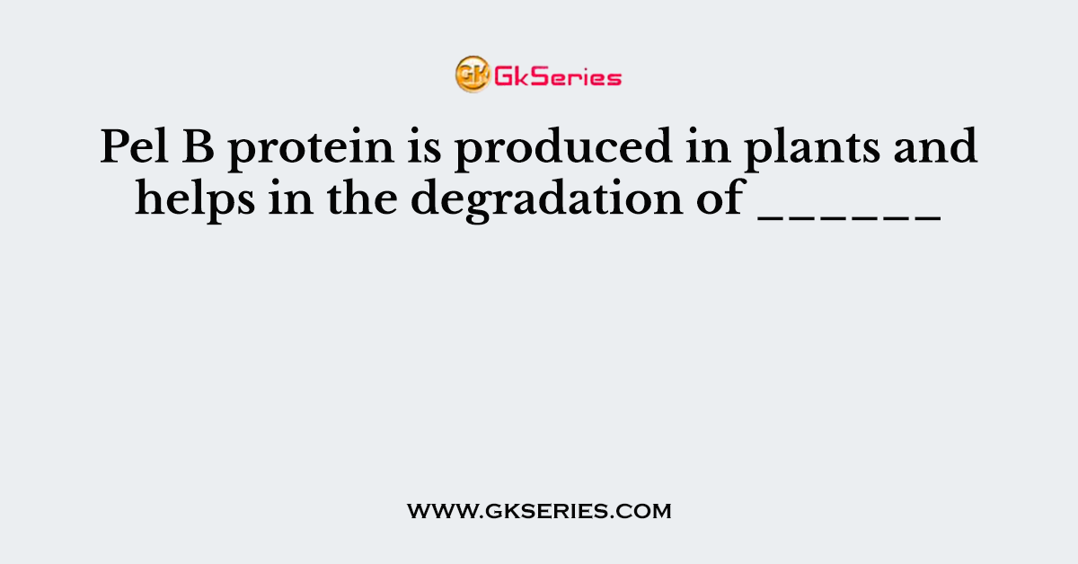 Pel B protein is produced in plants and helps in the degradation of ______   