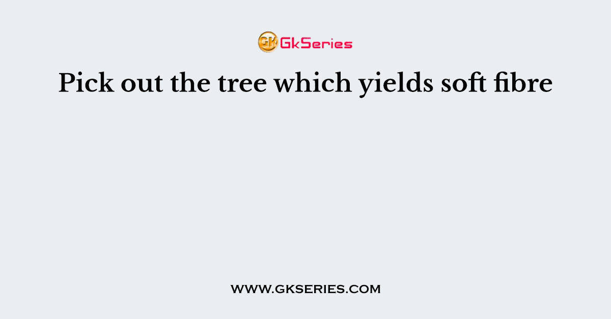 Pick out the tree which yields soft fibre