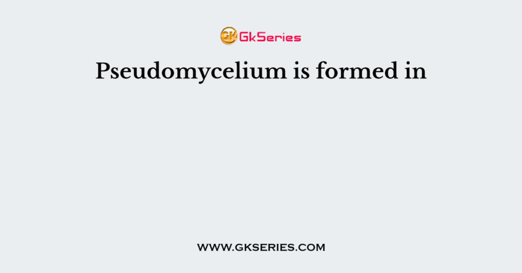 Pseudomycelium is formed in