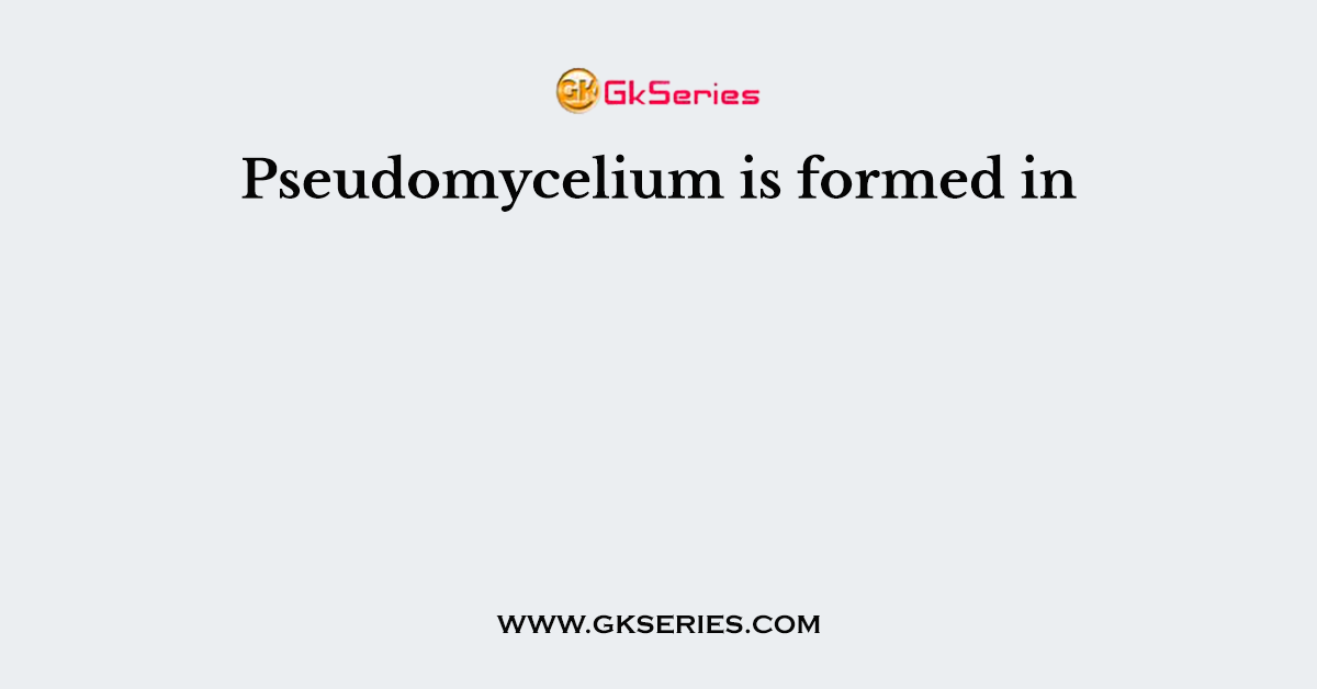 Pseudomycelium is formed in