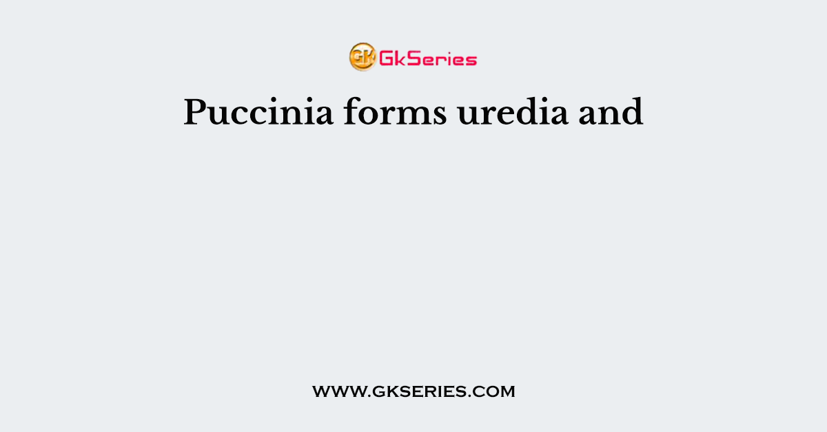 Puccinia forms uredia and