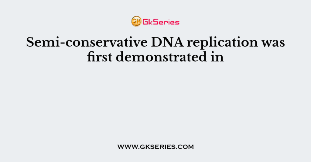 Semi-conservative DNA replication was first demonstrated in