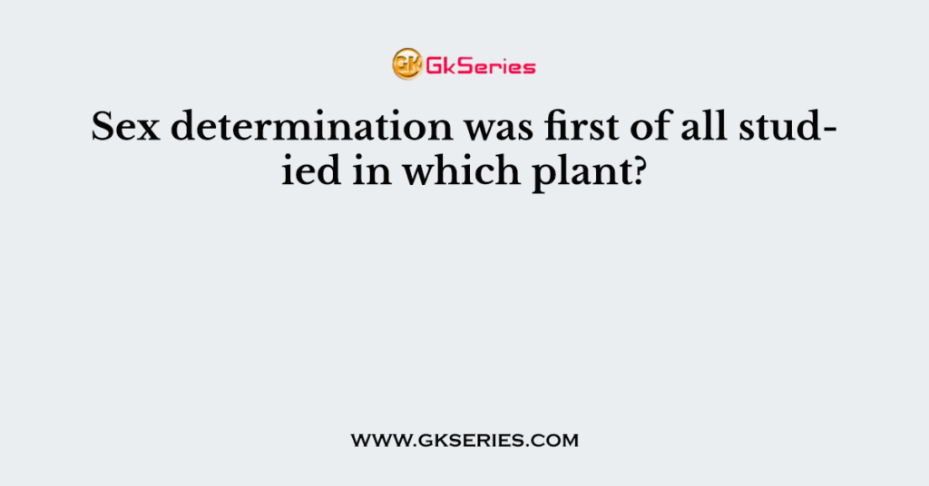 Sex determination was first of all studied in which plant?