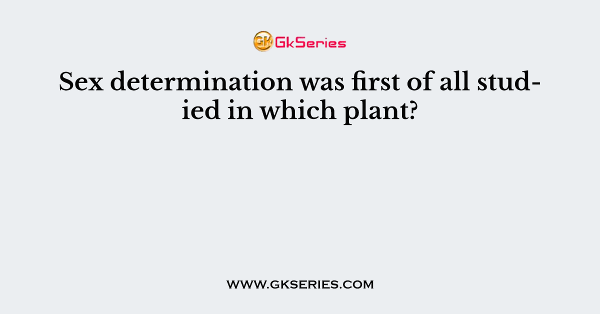 Sex determination was first of all studied in which plant?