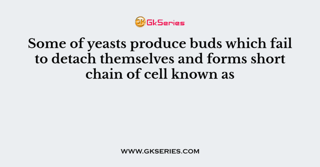 Some of yeasts produce buds which fail to detach themselves and forms short chain of cell known as