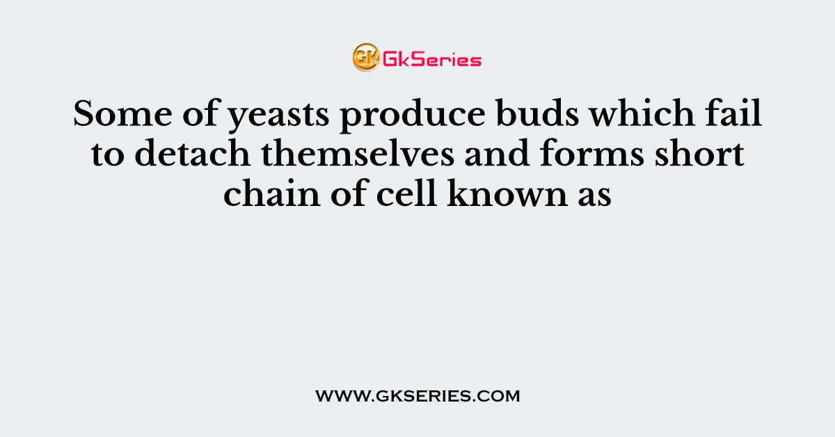 Some of yeasts produce buds which fail to detach themselves and forms short chain of cell known as