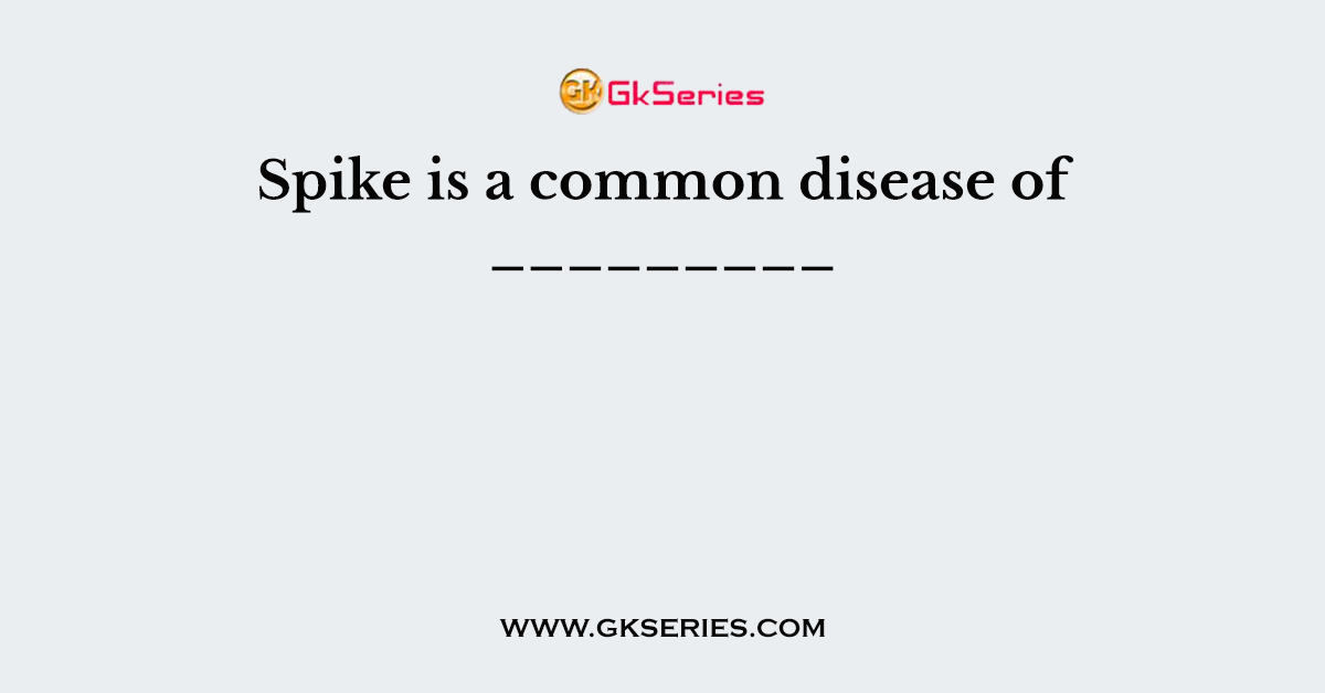 Spike is a common disease of _________