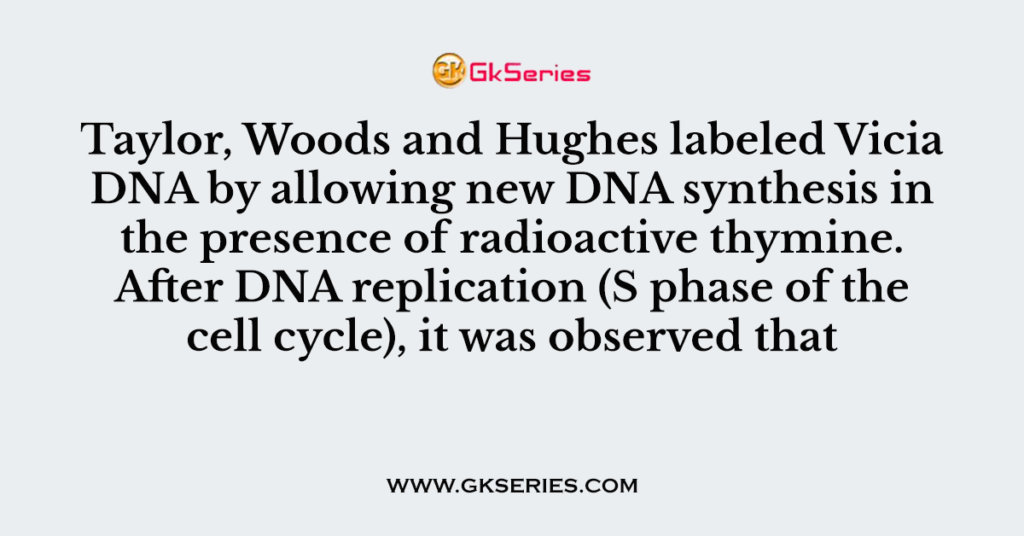 taylor woods and hughes experiment