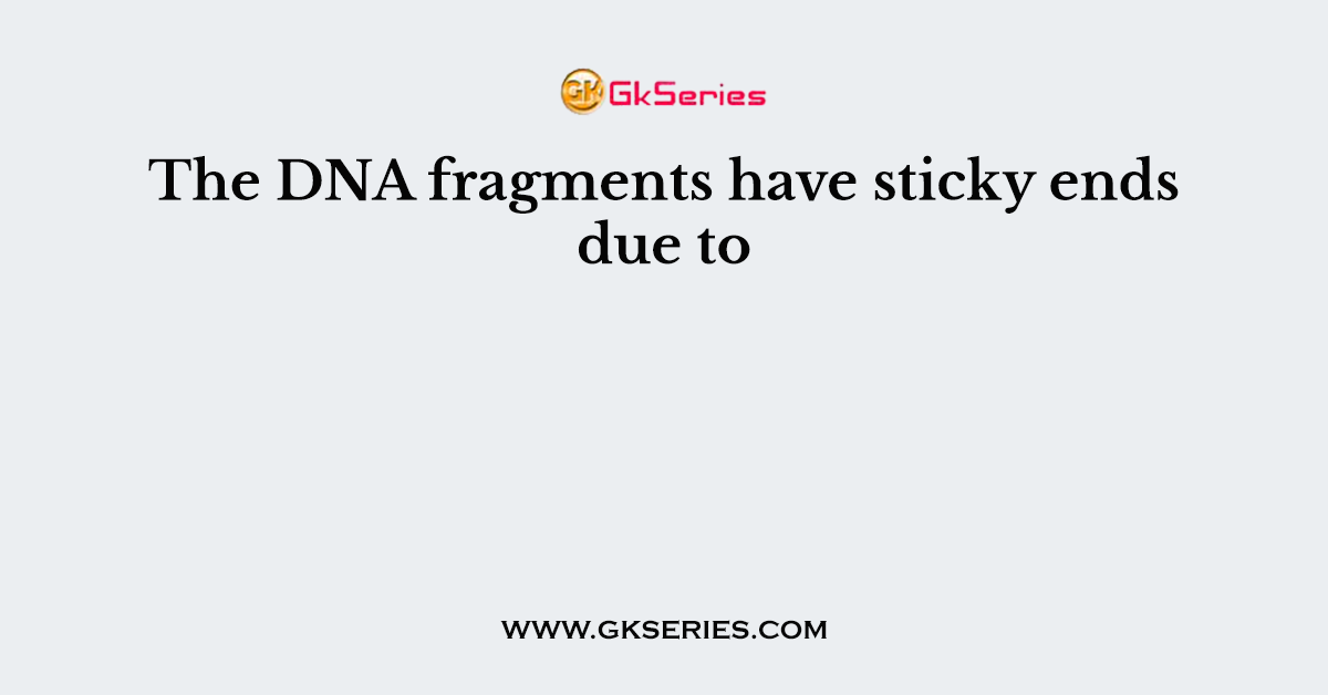 The DNA fragments have sticky ends due to