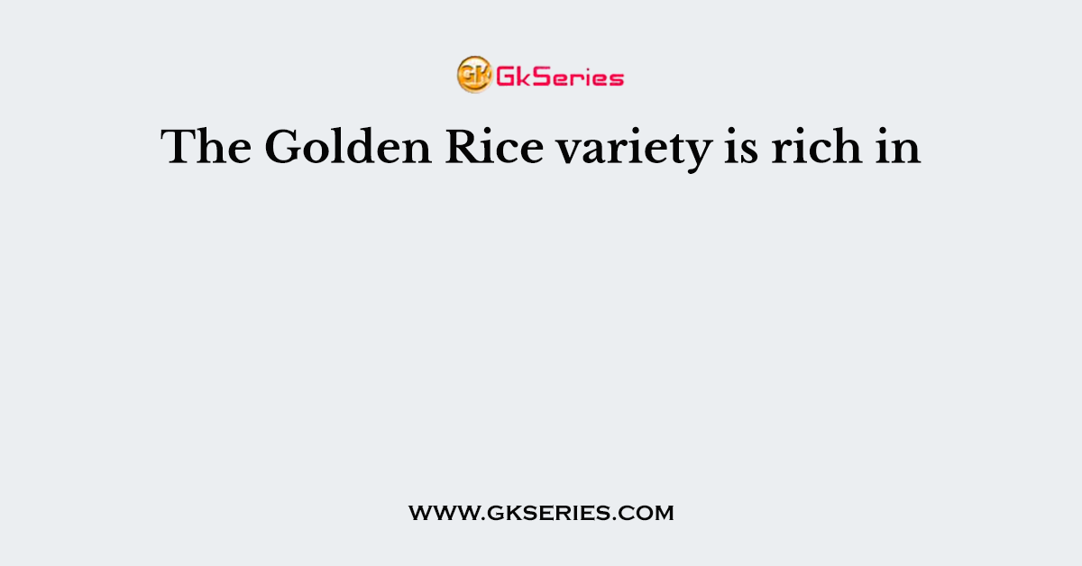 The Golden Rice variety is rich in