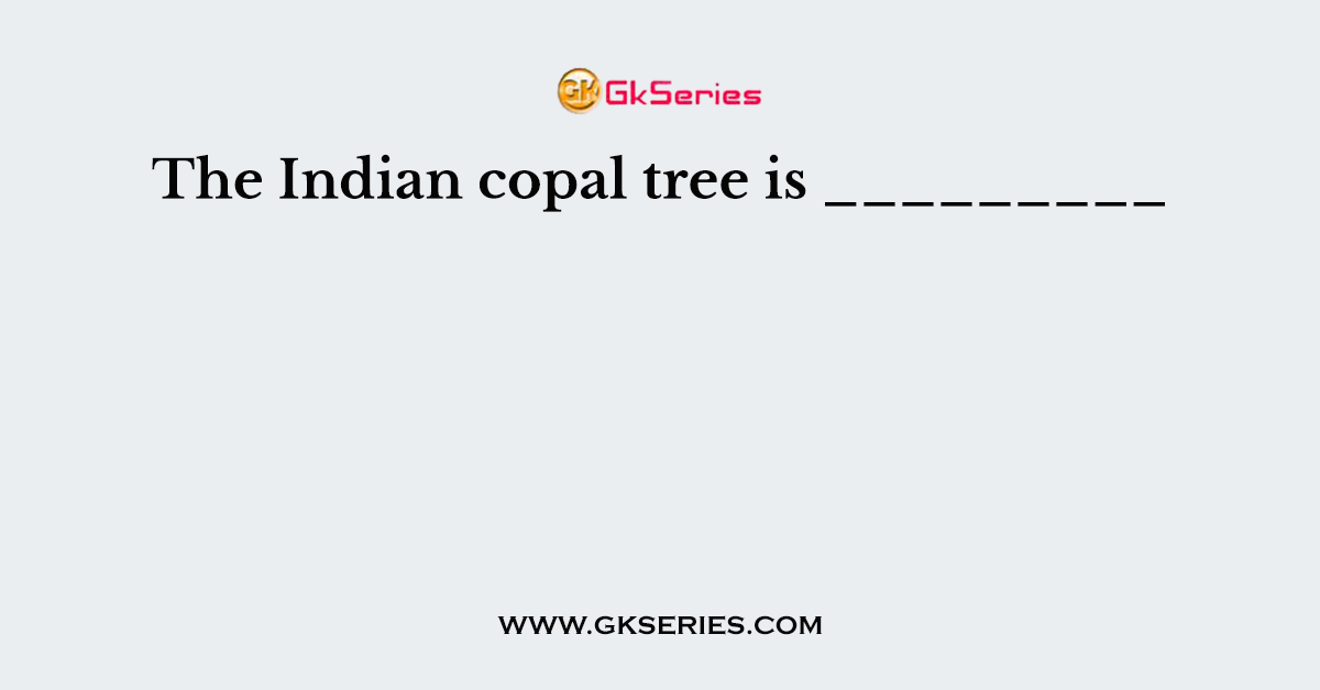 The Indian copal tree is _________