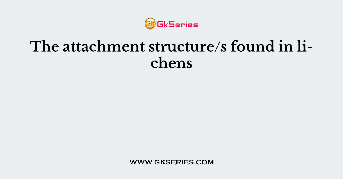 The attachment structure/s found in lichens