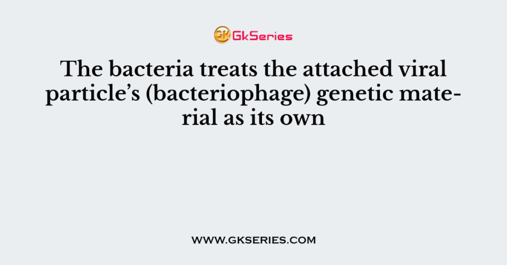 The bacteria treats the attached viral particle’s (bacteriophage) genetic material as its own