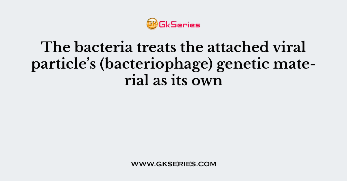 The bacteria treats the attached viral particle’s (bacteriophage) genetic material as its own