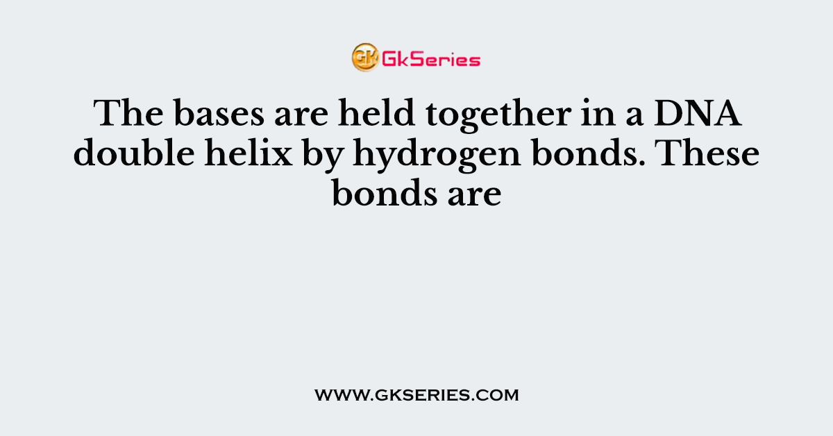 The bases are held together in a DNA double helix by hydrogen bonds. These bonds are