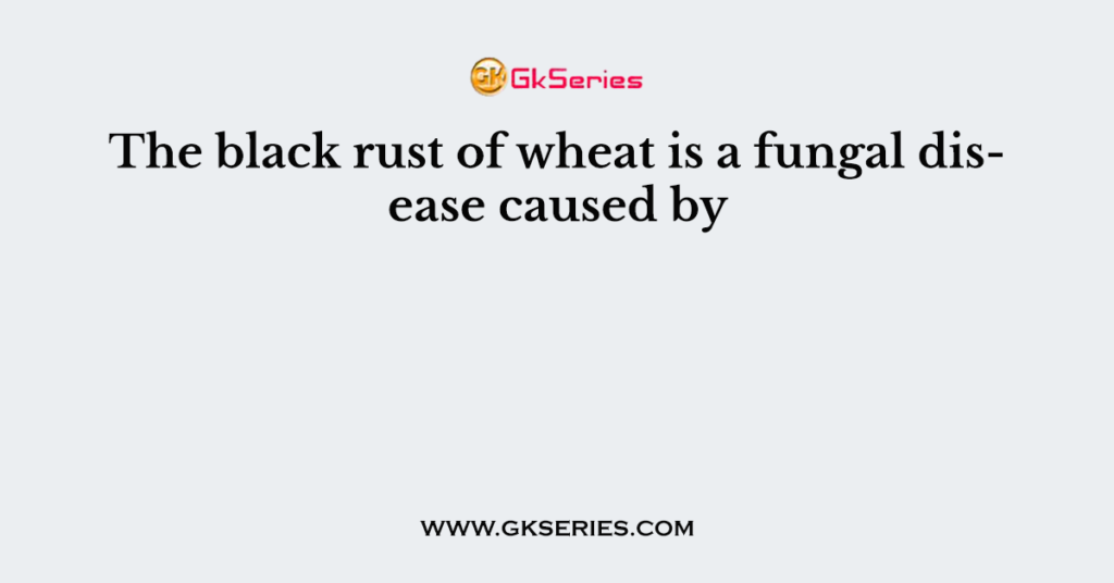 The black rust of wheat is a fungal disease caused by