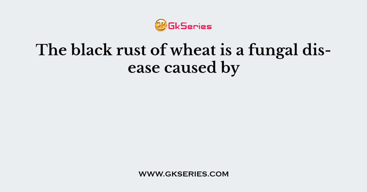 The black rust of wheat is a fungal disease caused by