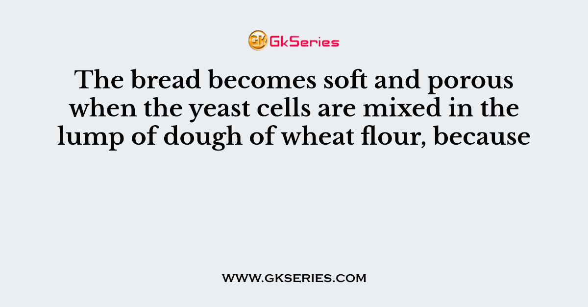 The bread becomes soft and porous when the yeast cells are mixed in the lump of dough of wheat flour, because