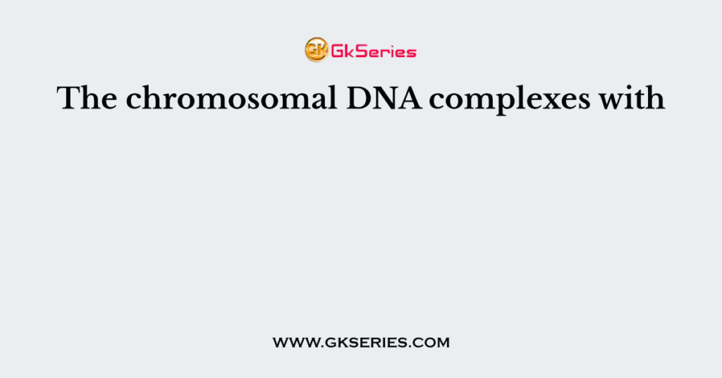 The chromosomal DNA complexes with