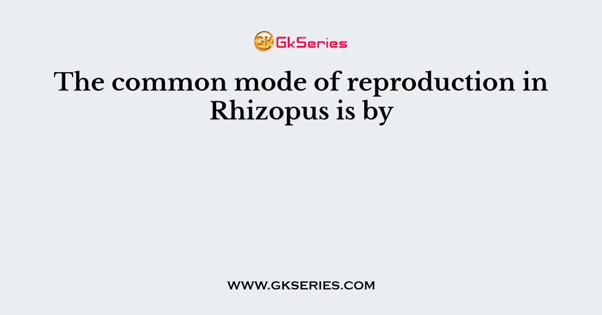 The common mode of reproduction in Rhizopus is by