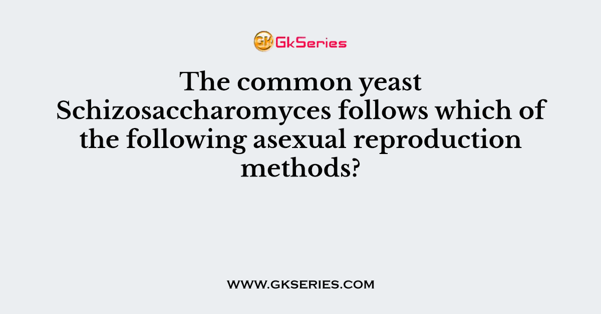 The common yeast Schizosaccharomyces follows which of the following asexual reproduction methods?