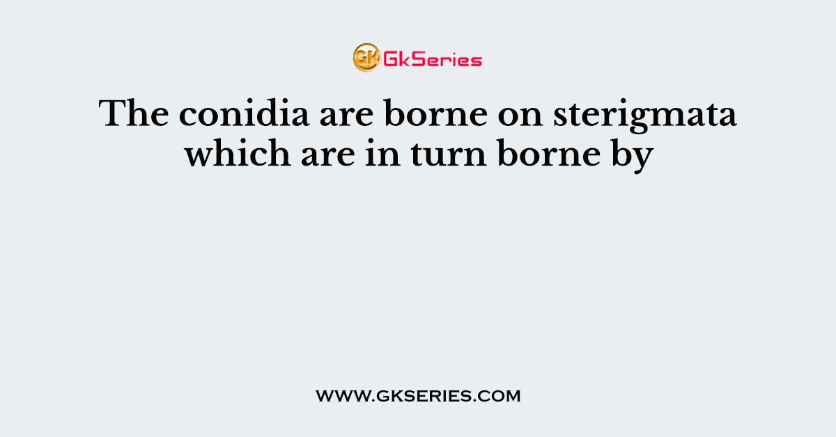 The conidia are borne on sterigmata which are in turn borne by