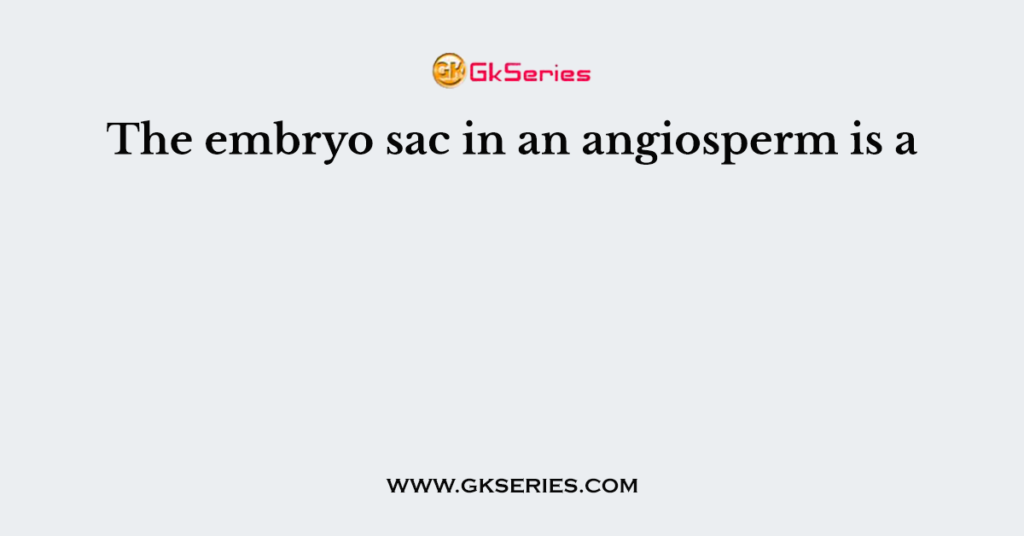 The embryo sac in an angiosperm is a