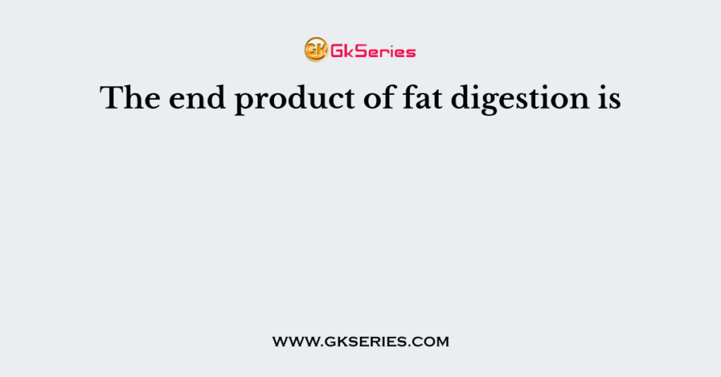 The end product of fat digestion is