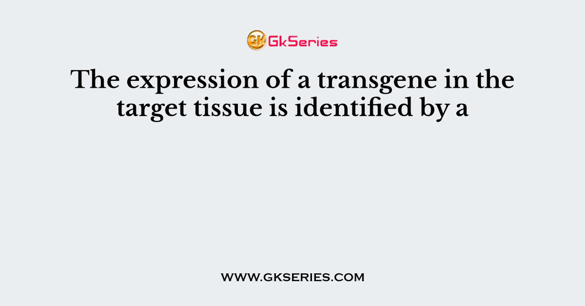 The expression of a transgene in the target tissue is identified by a