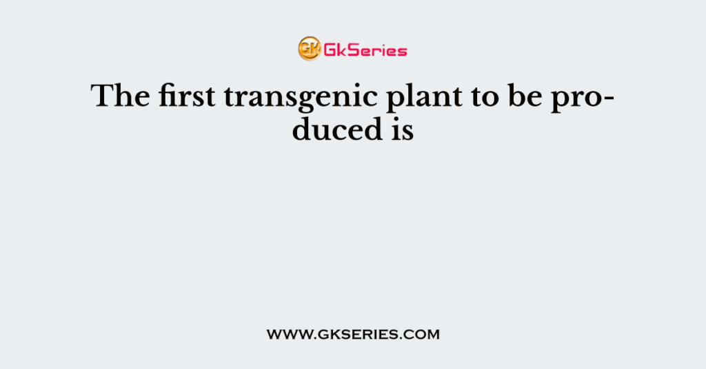 The first transgenic plant to be produced is