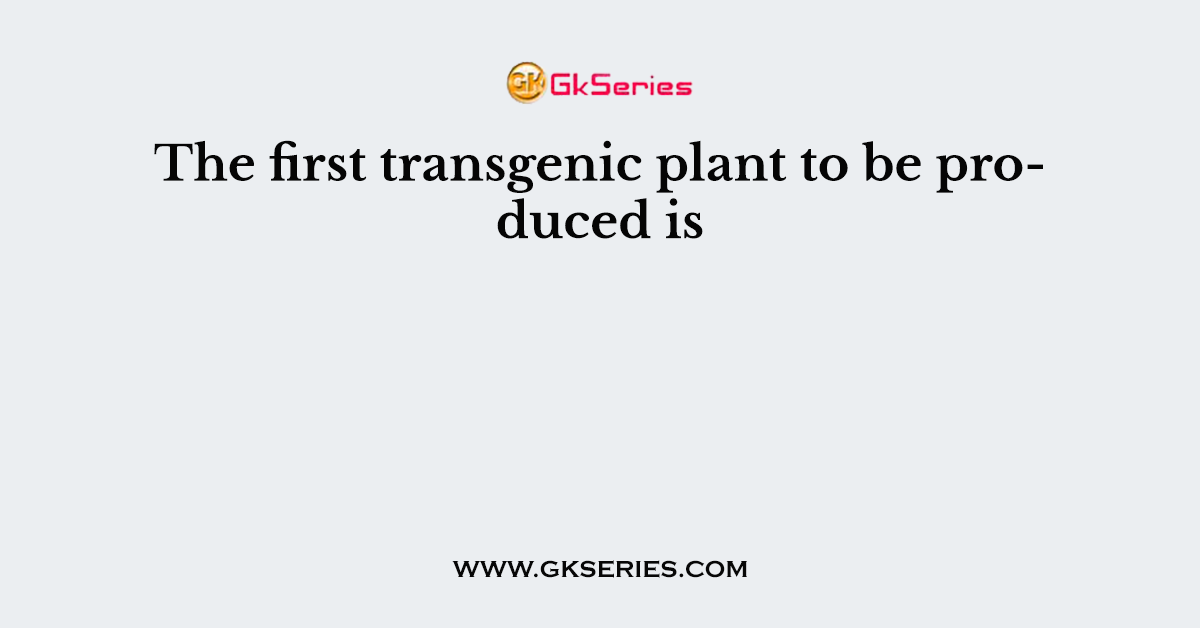 The first transgenic plant to be produced is