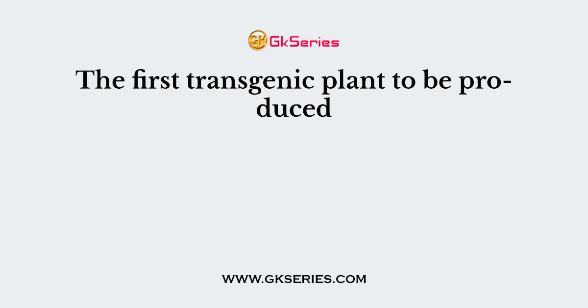 The first transgenic plant to be produced
