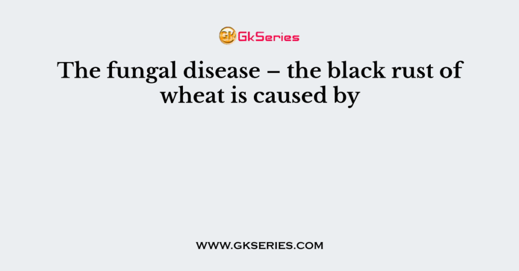 The fungal disease – the black rust of wheat is caused by