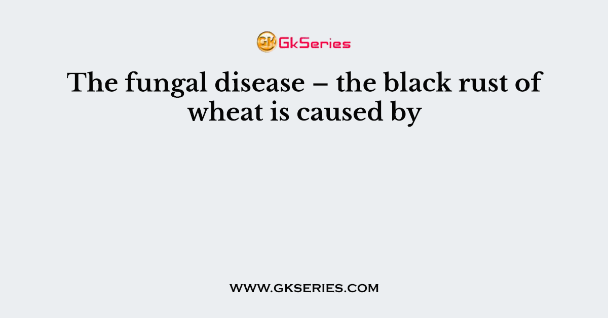 The fungal disease – the black rust of wheat is caused by