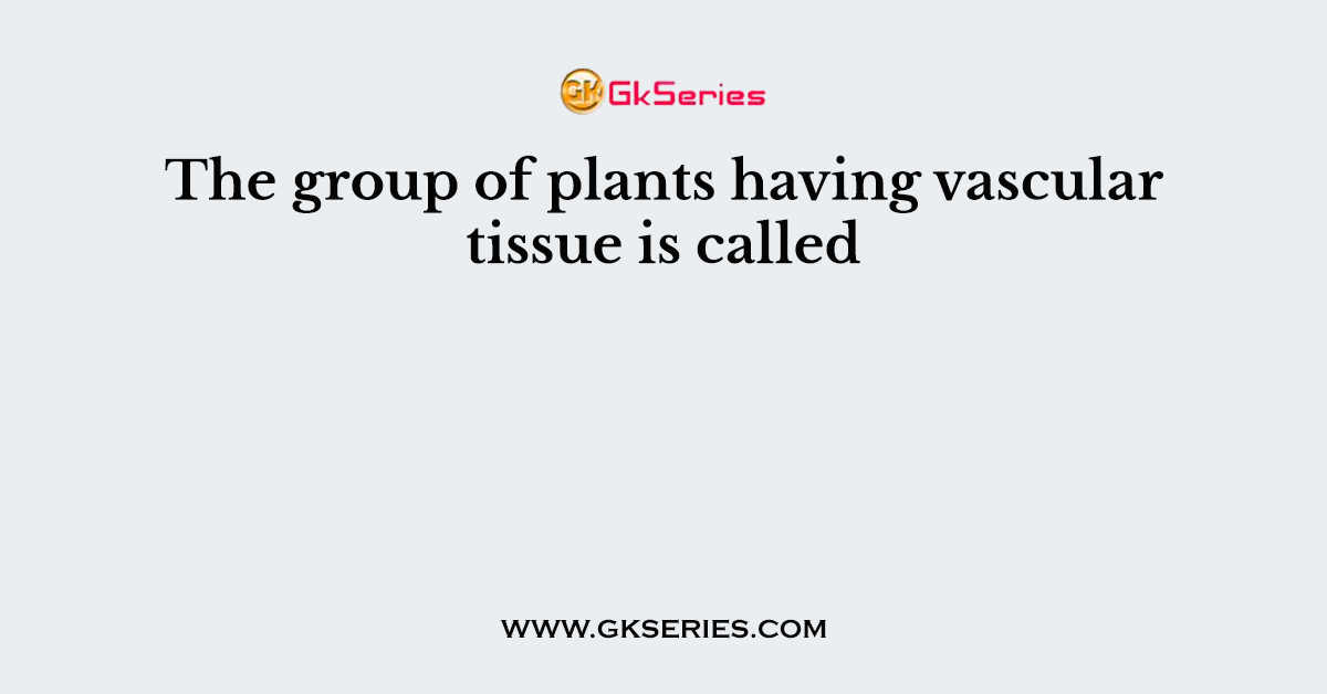 The group of plants having vascular tissue is called