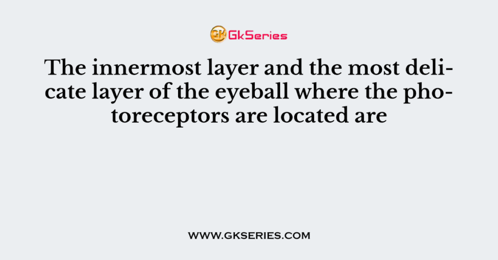 The innermost layer and the most delicate layer of the eyeball where the photoreceptors are located are