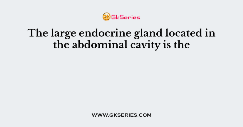 The large endocrine gland located in the abdominal cavity is the