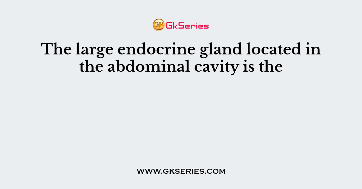 The large endocrine gland located in the abdominal cavity is the