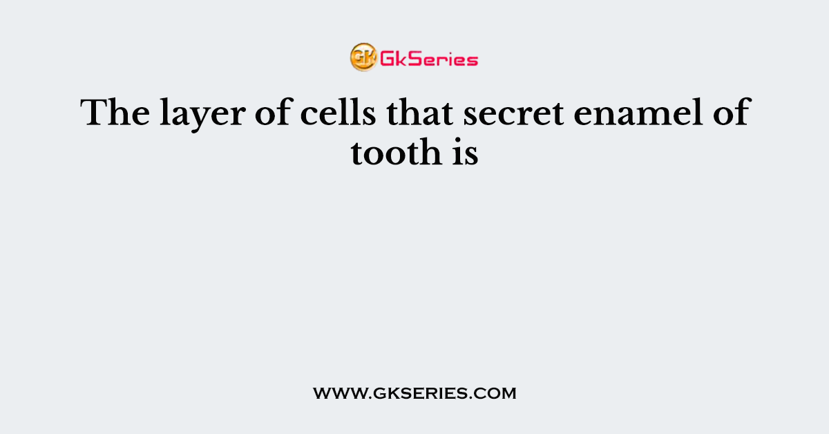 The layer of cells that secret enamel of tooth is