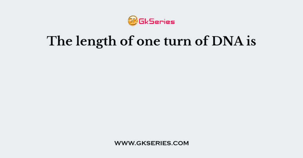 The length of one turn of DNA is