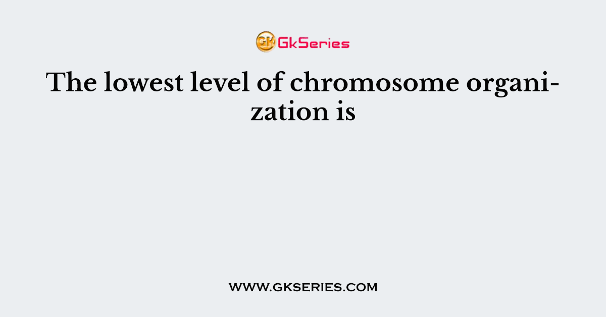 The lowest level of chromosome organization is