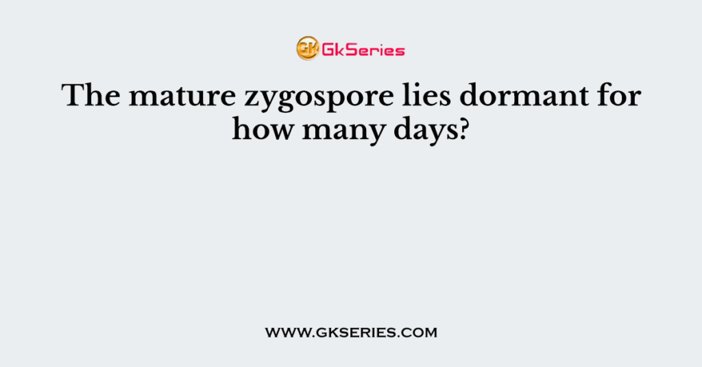 The mature zygospore lies dormant for how many days?