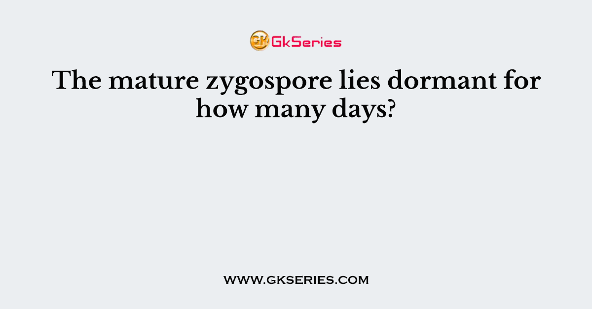 The mature zygospore lies dormant for how many days?