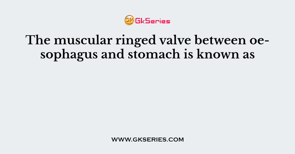 The muscular ringed valve between oesophagus and stomach is known as