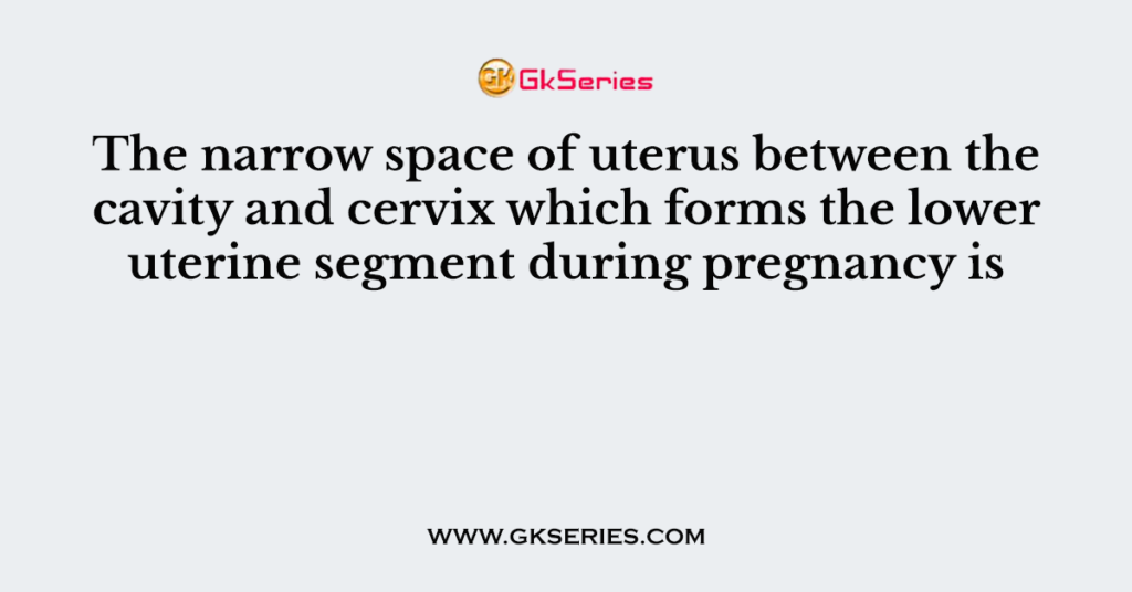 The narrow space of uterus between the cavity and cervix which forms ...