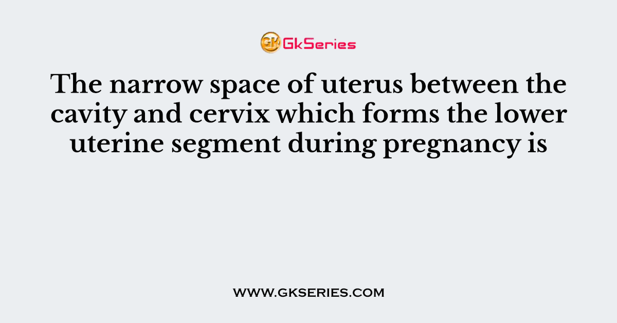 The narrow space of uterus between the cavity and cervix which forms the lower uterine segment during pregnancy is