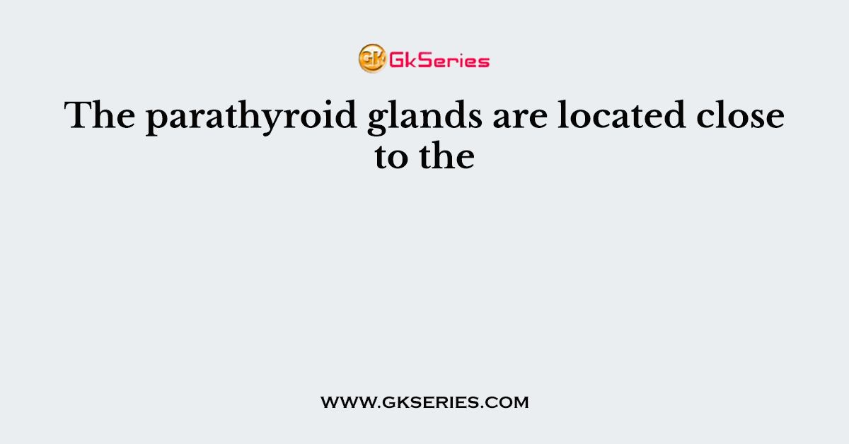 The parathyroid glands are located close to the